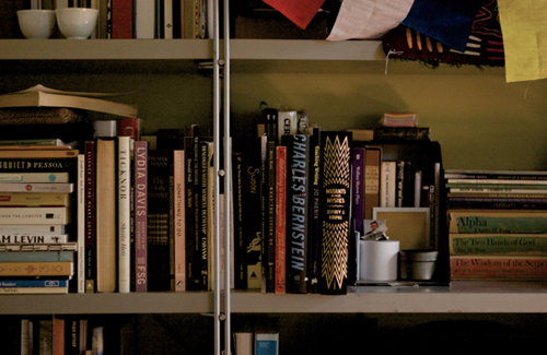 Bookshelf this week comes out of Brooklyn and the library of The Believer's online editor, Max Fenton