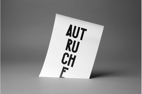 P260_autruche_01.jpg