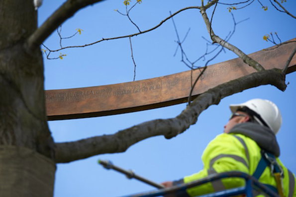 History-Trees-AckroydandHarvey-Eton-Manor-Approach-720x480.jpg