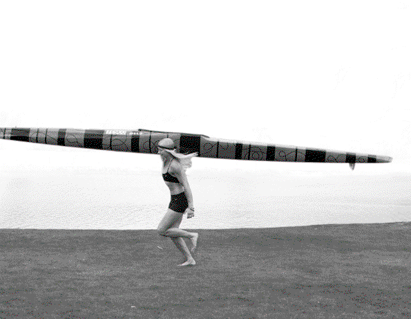 JGS-10.gif