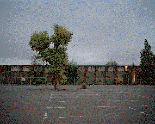 West-Way-8.gif