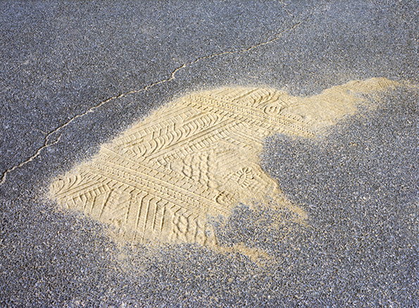 osma_bythesea_1.jpg