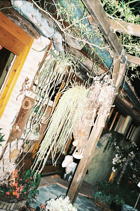 9.gif