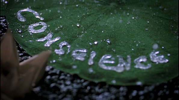 Sagmeister-2.jpg
