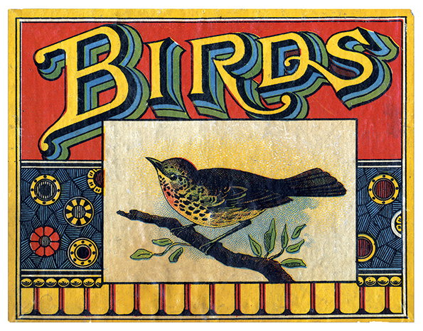 BirdsLabel.jpg