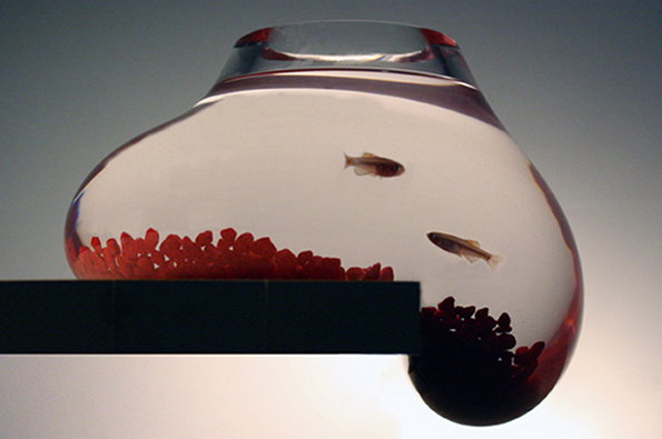 Tank-01.jpg