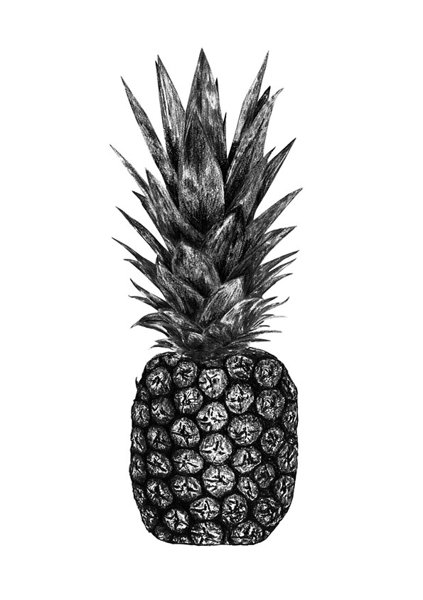 A detailed black and white illustration of a pineapple against a plain white background. The drawing uses heavy contrast and fine lines to define the textured skin and sharp leaves.