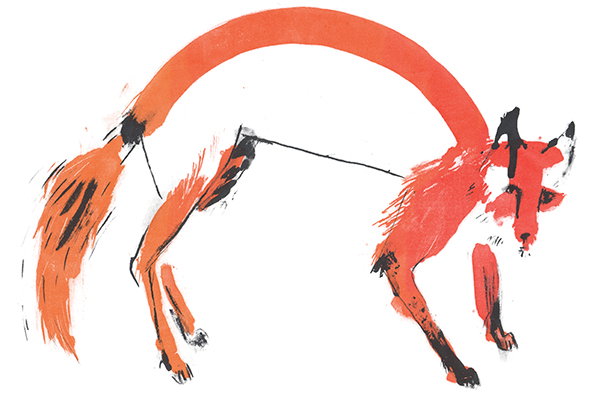 pick_me_up_fox.jpg
