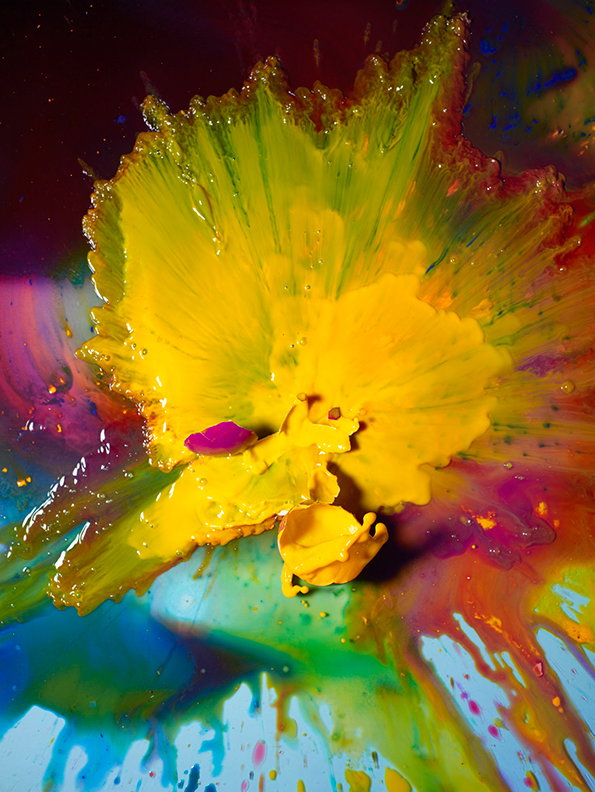 Circles_Paint_Fall.jpg