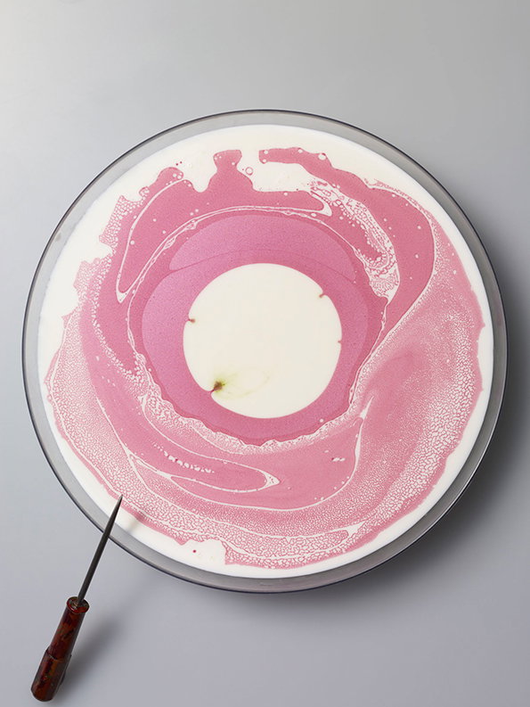Circles_Milk_2.jpg