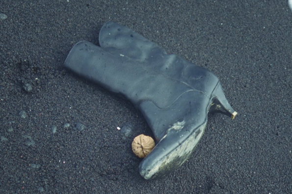 CAN5.jpg