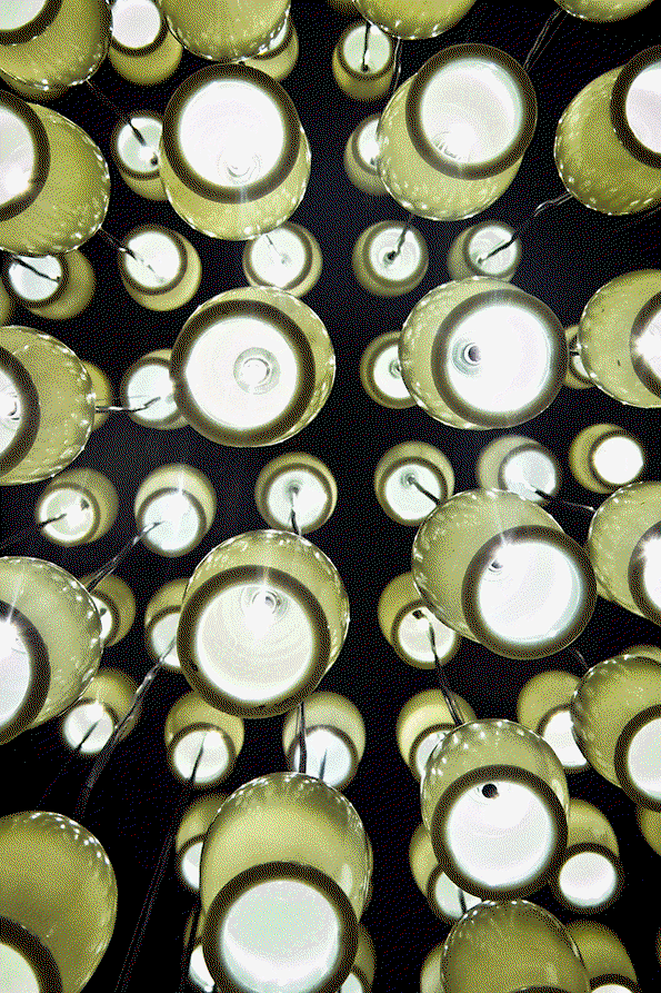 bjdw12_milkywave-(21).gif