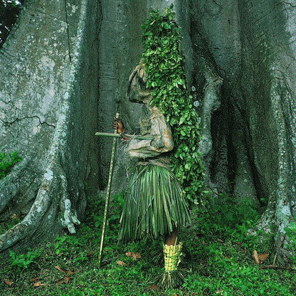 6.gif