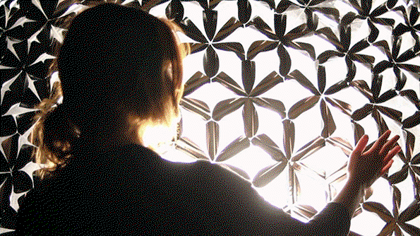 6.gif