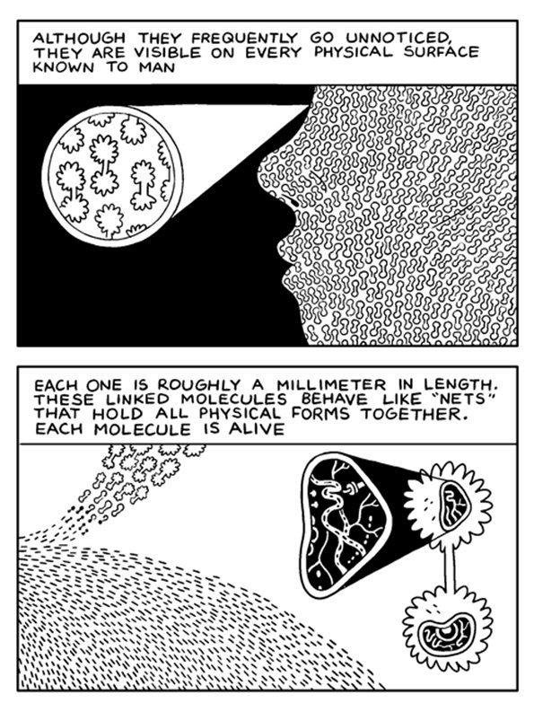 DeForge-12.jpg