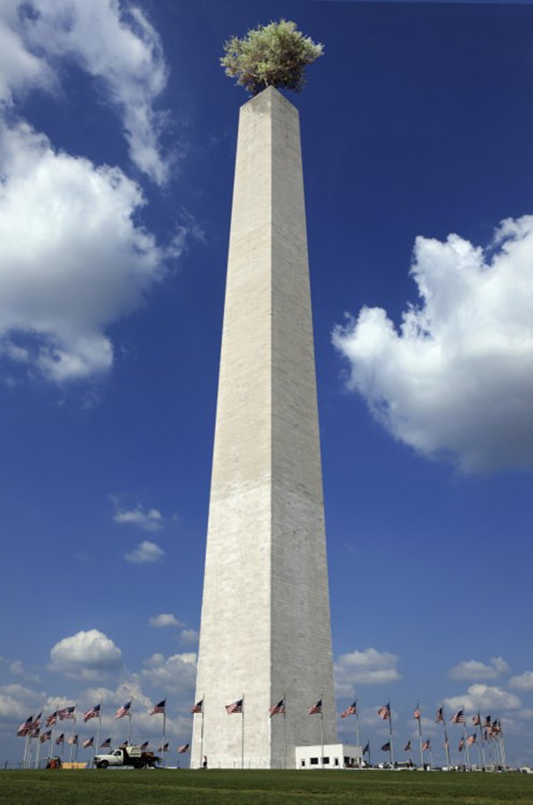 02_jmende_washington.jpg