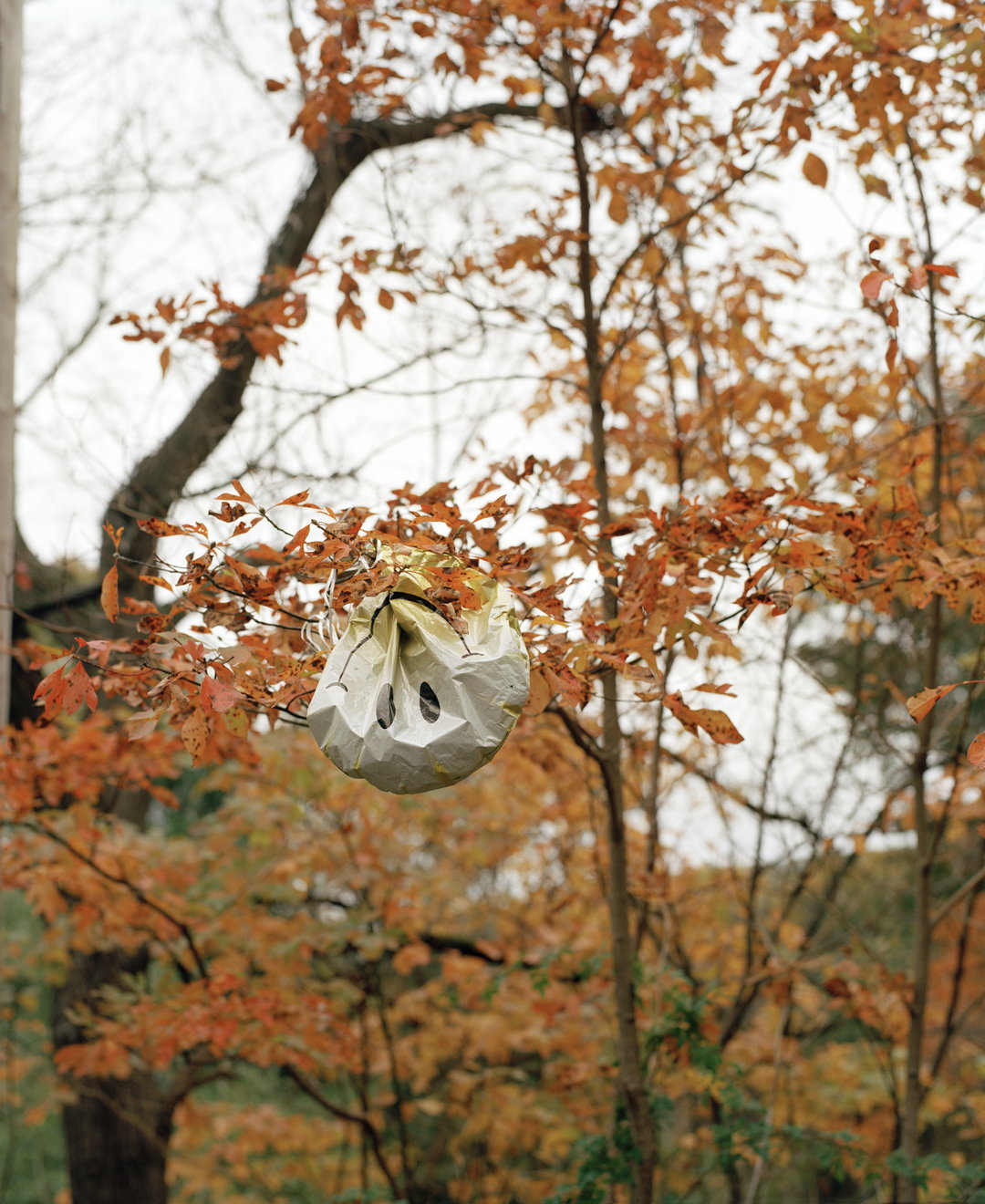 Dana-Stirling-WhyAmISad-photography-project-itsnicethat-12