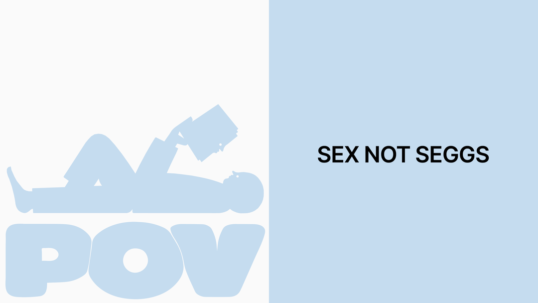 POV Sex not seggs hero