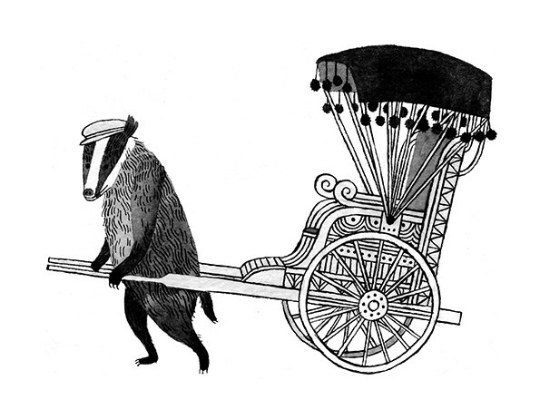 badgerRestimage6.jpg