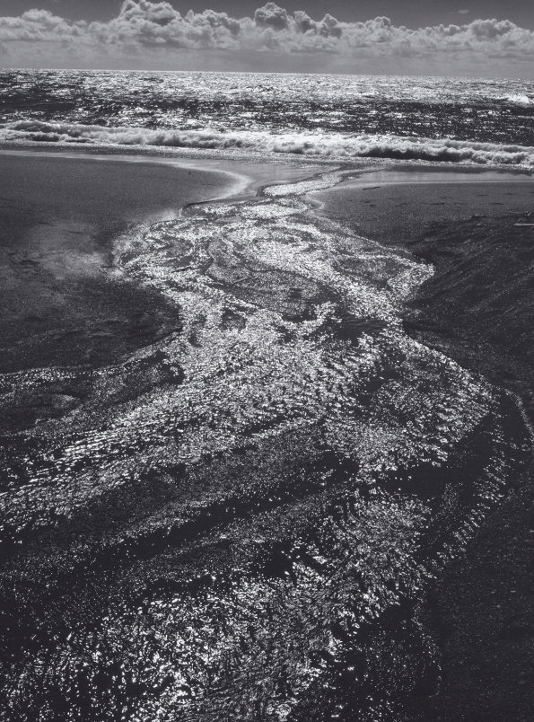 Stream_-Sea_-Clouds_-Rodeo-Lagoon_-Marin-County_-California_-1962-Photograph-by-Ansel-Adams.jpg