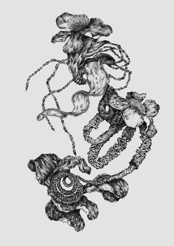 A black and white illustration of surreal, organic forms floating against a plain grey background. The composition blends floral elements with twisted, textured ribbons and chain-like structures.
