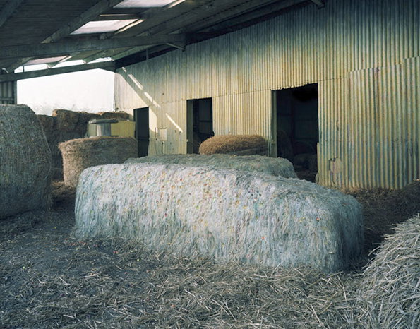 r7.jpg