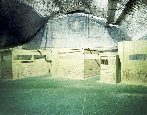 r11.jpg