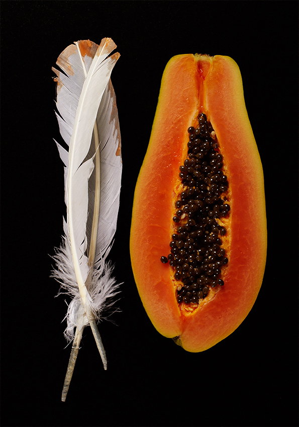 Comp_Papaya.jpg