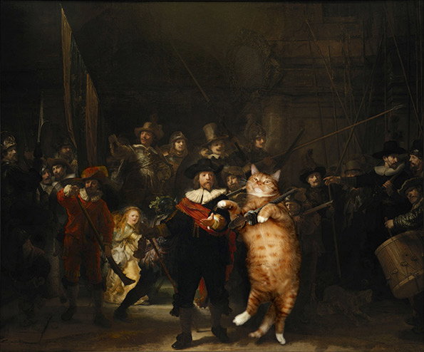 CAT.jpg