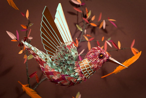 Z_Z-hummingbird.jpg