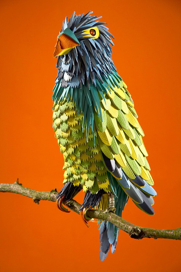 Z_Z-parot-yellow.jpg