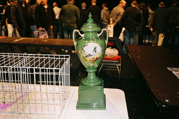 p7.jpg