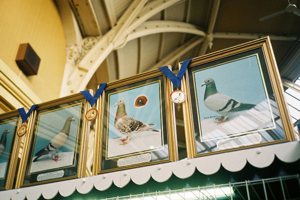 p9.jpg