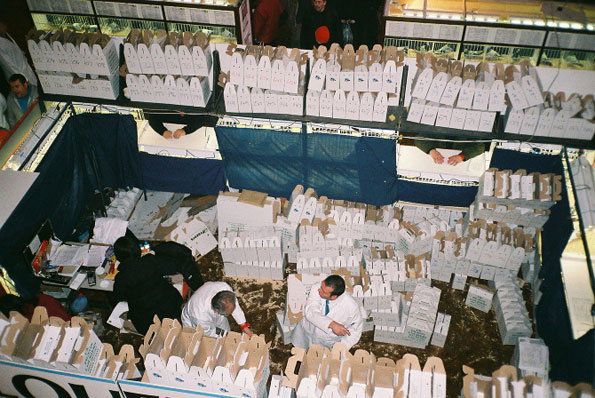 p10.jpg