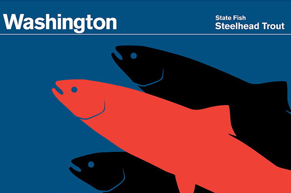 lead-washington-state-fish-steelhead-trout.jpg