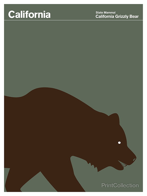 lead-california.jpg
