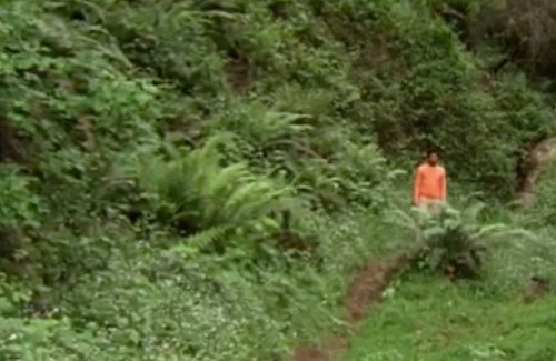 Monday Morning Music Video's back – Toro Y Moi take you to orange-jumper heaven