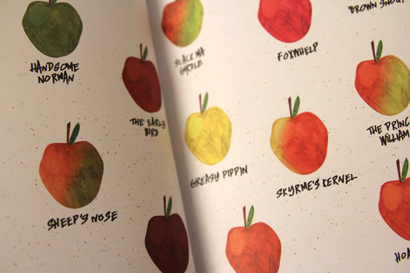 cider-3.jpg
