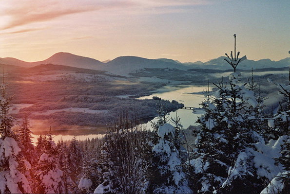 Snow-covered pine trees frame a wide view of a frozen valley and a winding river. Rolling mountains sit under a pale, hazy sky at dawn or dusk.