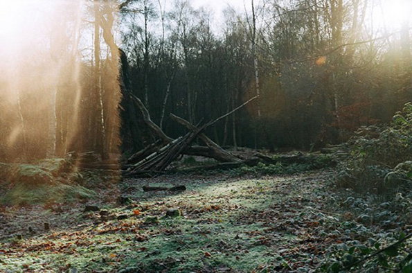 A woodland clearing with a structure of fallen logs and branches piled in the centre. Bright light flares across the left side of the frame, casting a glow over the frost-covered ground.