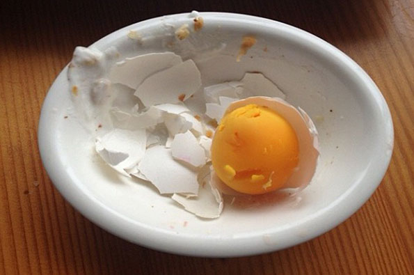 egg.jpg