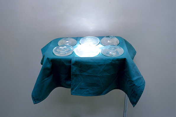 Five clear petri dishes sit on a table draped in a teal cloth. A bright light shines from beneath the fabric, illuminating the dishes from below.