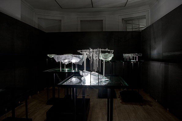 Scanlabs-7.jpg