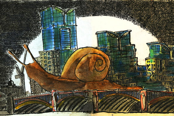 snail-lead.jpg