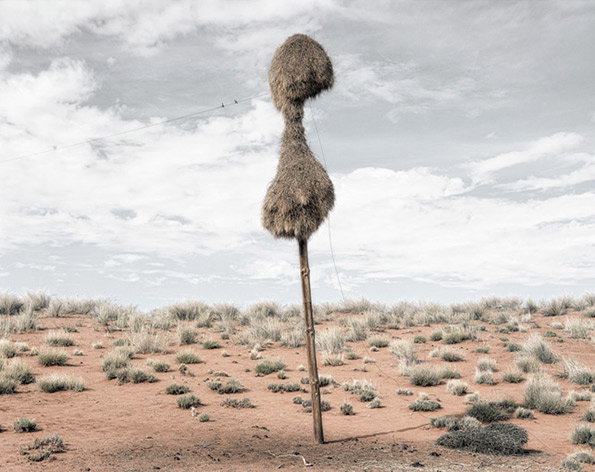 assimilation03.jpg