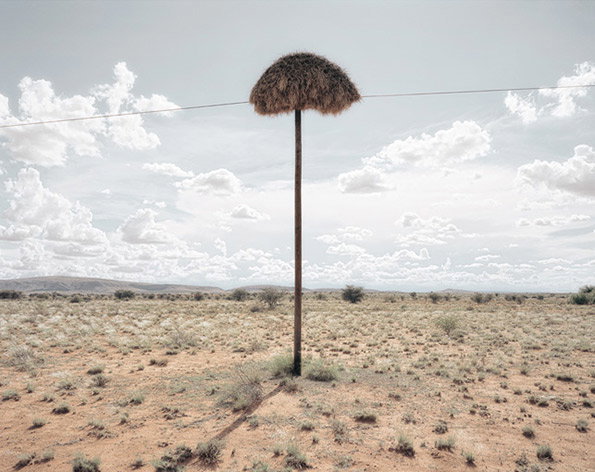 assimilation04.jpg
