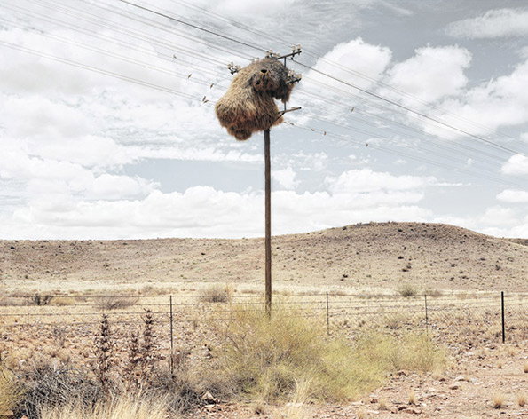 assimilation02.jpg