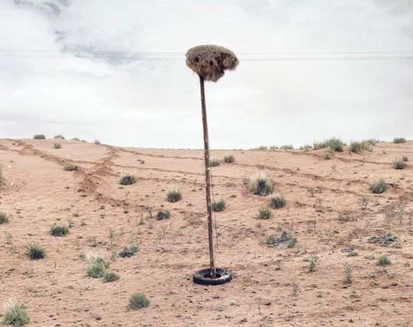 assimilation08.jpg