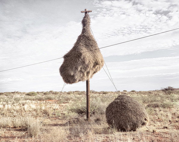 assimilation09.jpg
