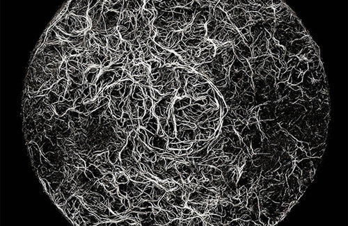 Turned Over: David Lidbetter’s photographs of the underside of things